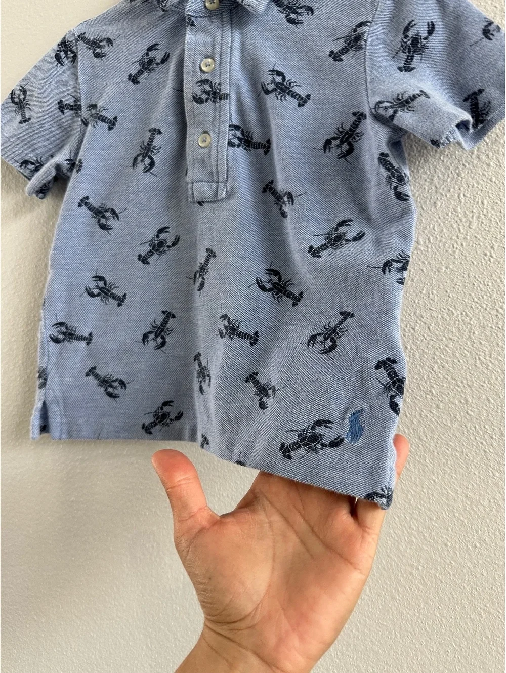 Ralph Lauren Boys Polo Lobster Shirt Size 24M